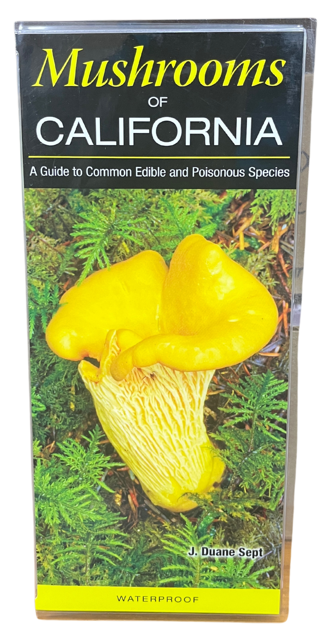 Foldout Guide - Mushrooms