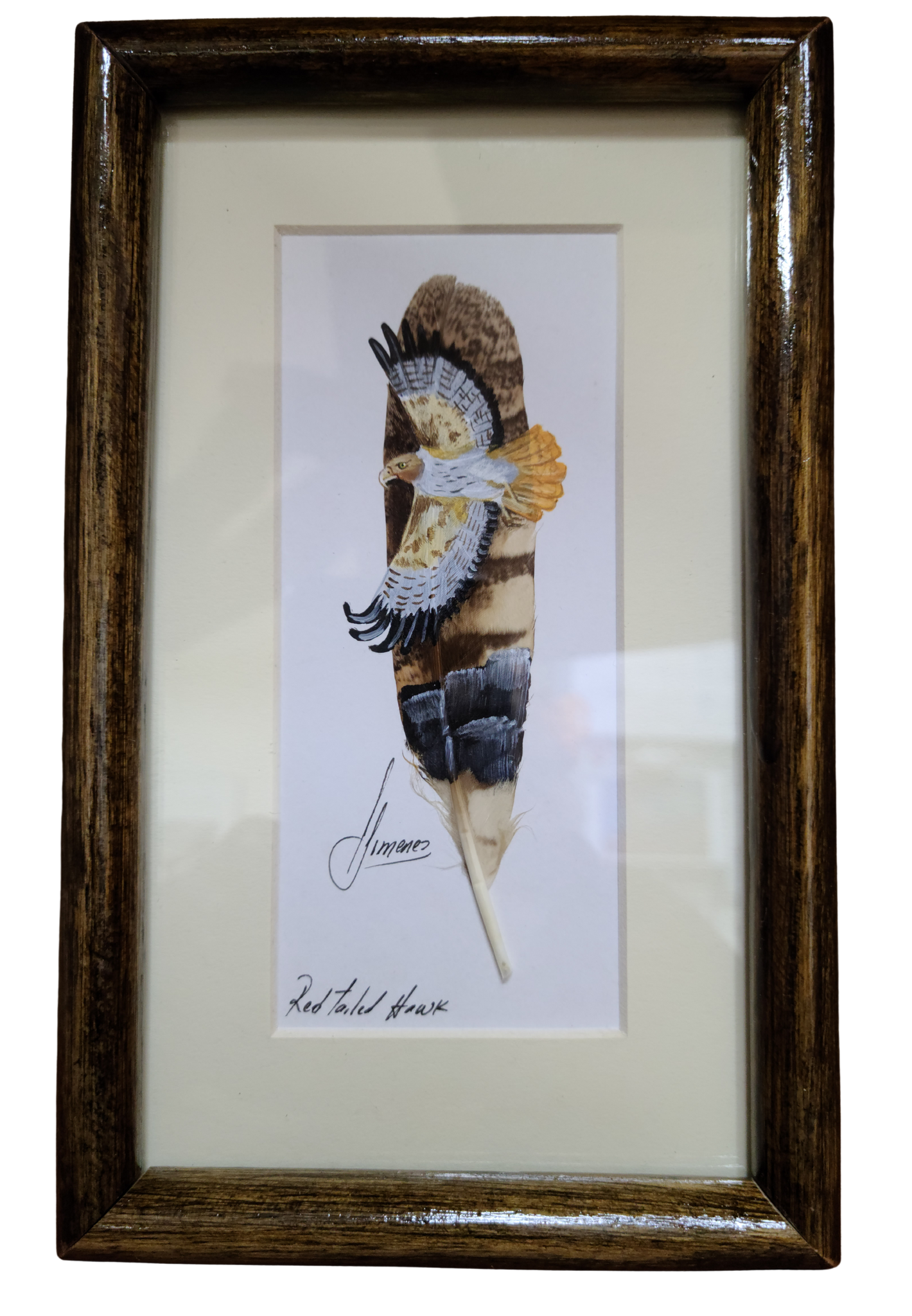 Feather Art - Red-Tailed Hawk