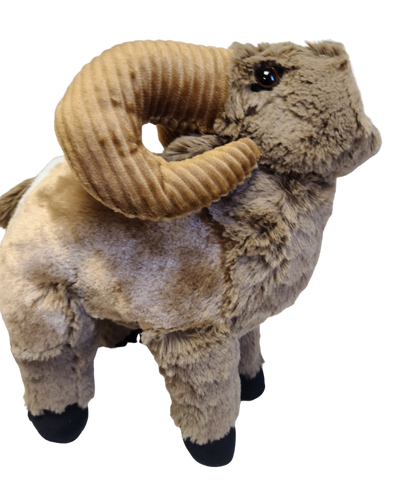 Bighorn Sheep - 12"