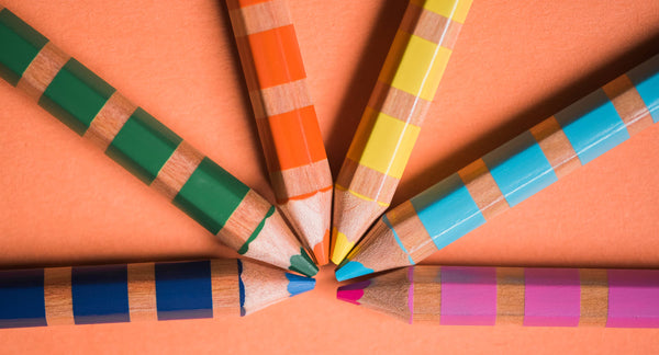 6 Double-Sided Colored Pencils - Otters