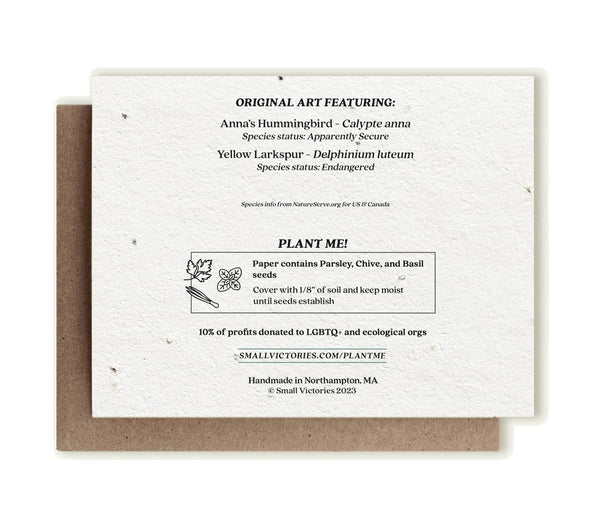 Plantable Notecard - Anna's Hummingbird & Larkspur