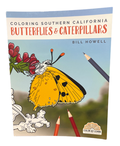 Coloring Book - Butterflies & Caterpilars