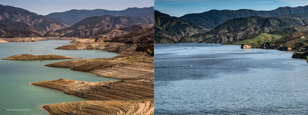 California's Changing Landscape by George Rose