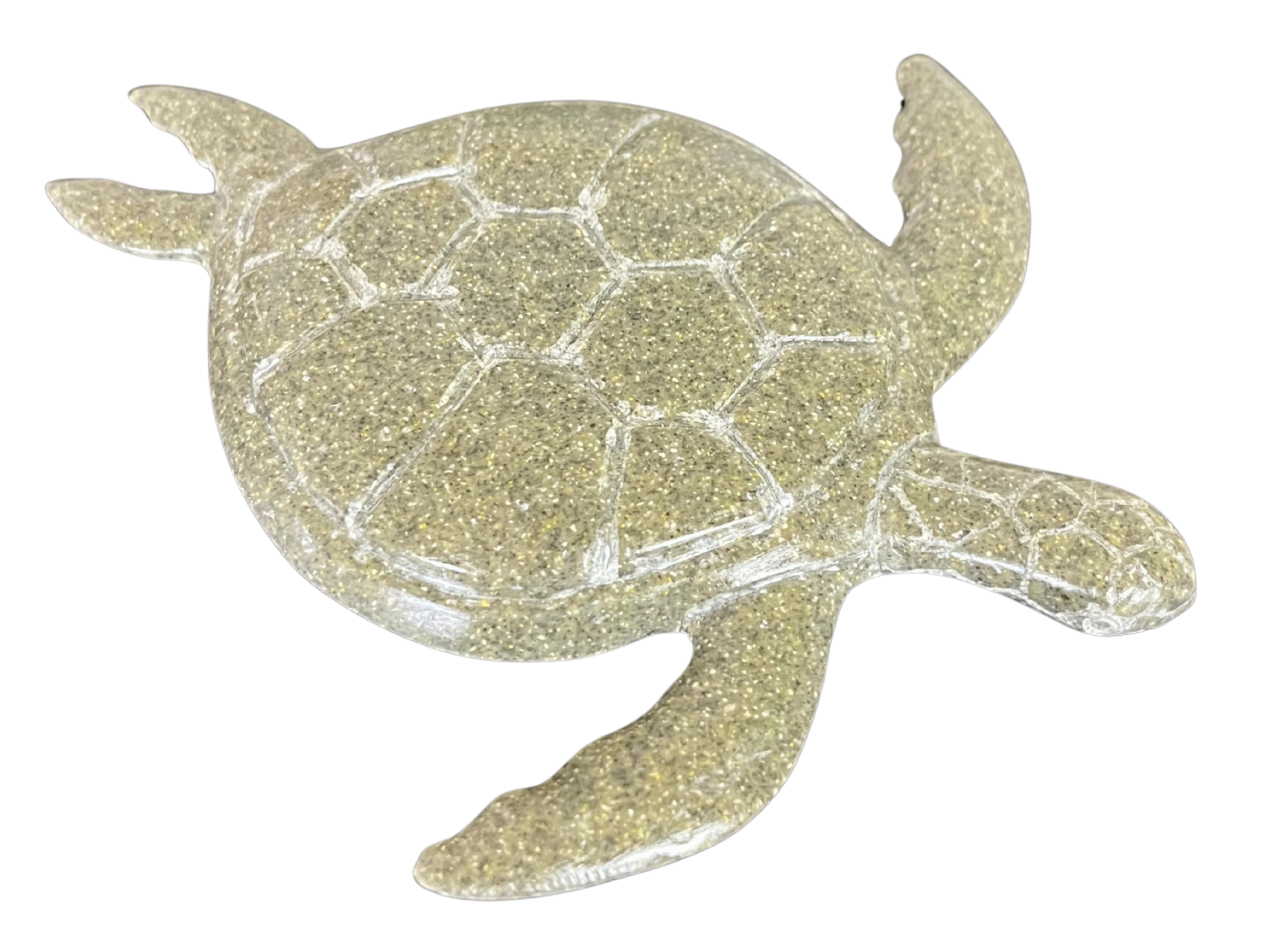 RS -  Coriane Loggerhead Sea Turtle