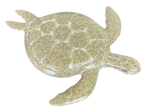 RS -  Coriane Loggerhead Sea Turtle