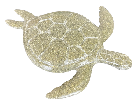 RS -  Coriane Loggerhead Sea Turtle