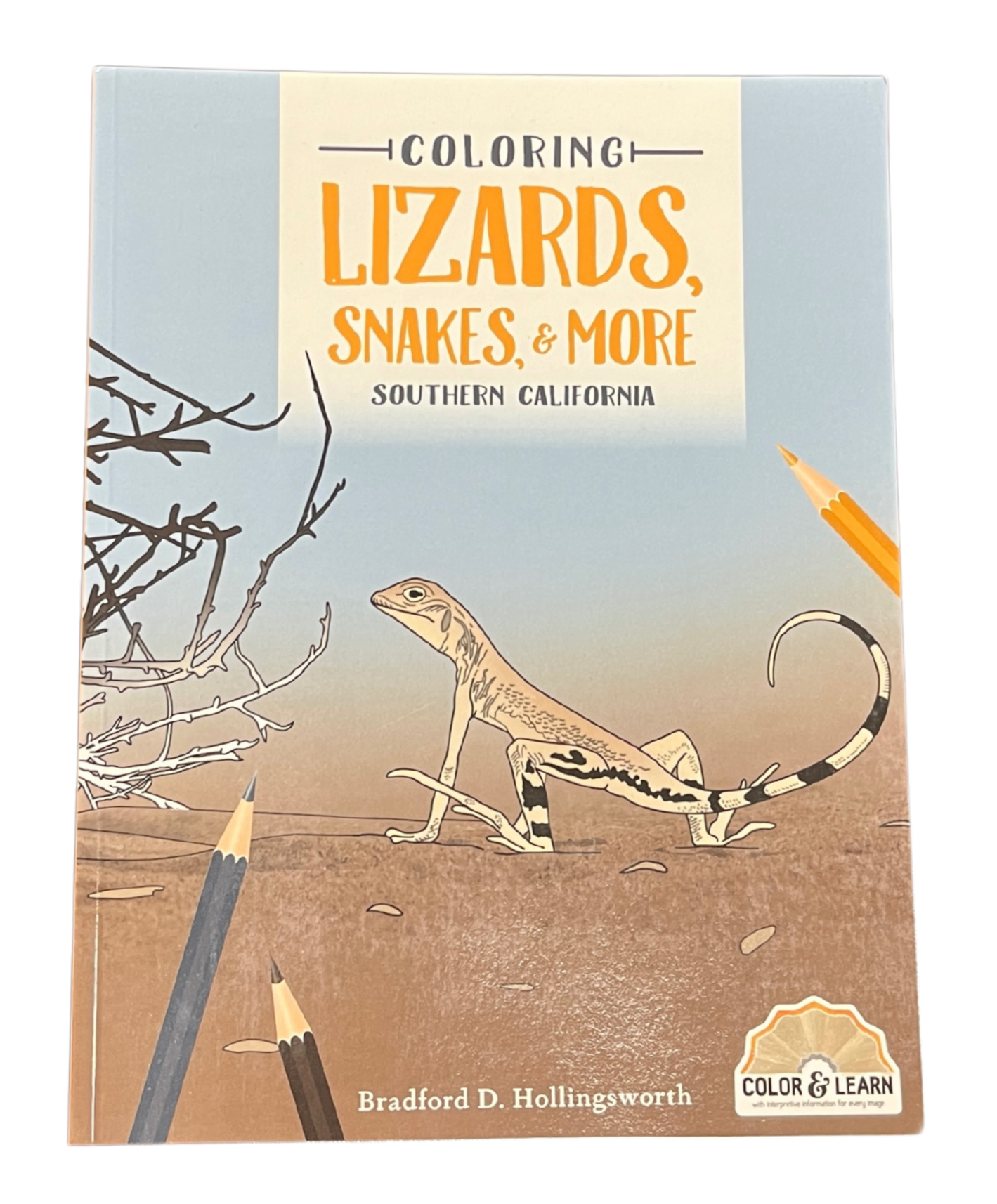 Coloring Book - Lizards, Snakes, and More