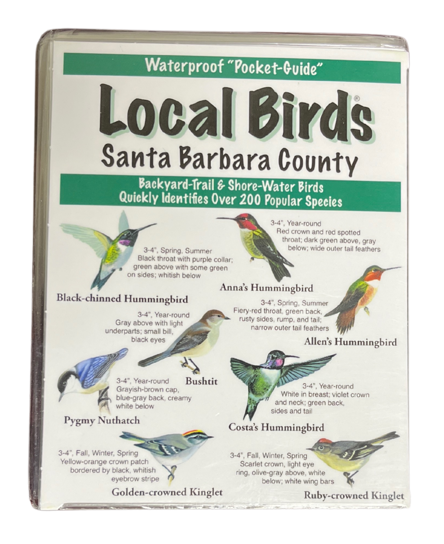 Local Birds - Santa Barbara County