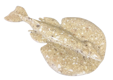 RS -  Coriane Electric Torpedo Ray