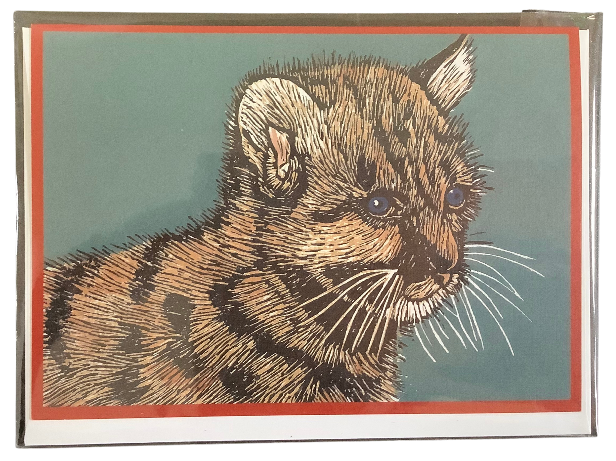 Notecard by Patti Jacquemain - Inquisitive