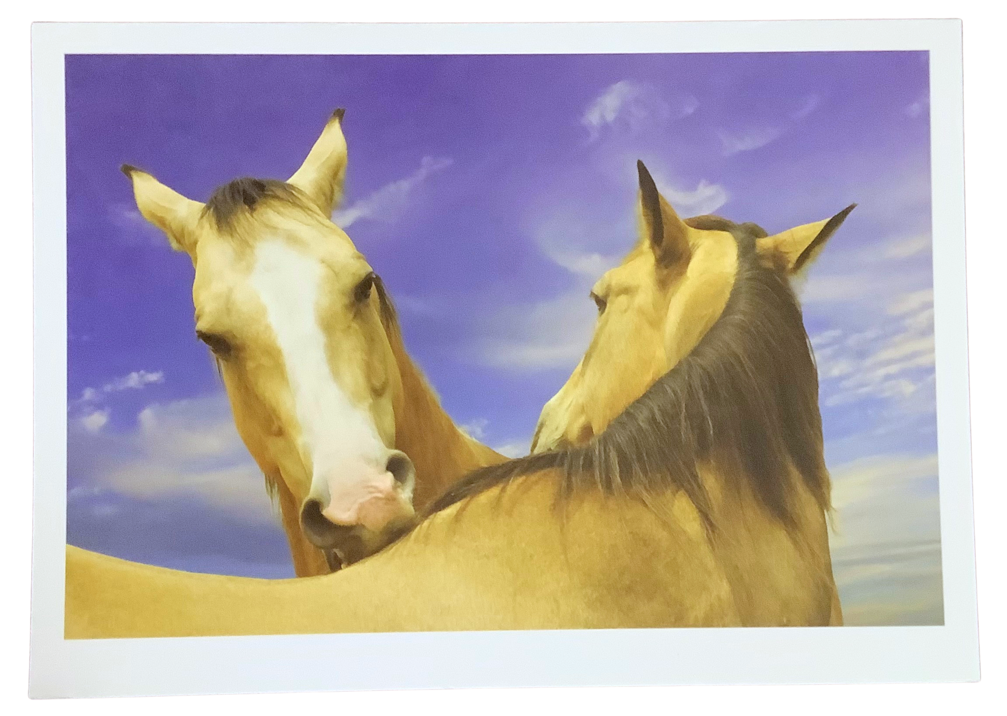 Notecard by Ines Labunski Roberts - Two Horses