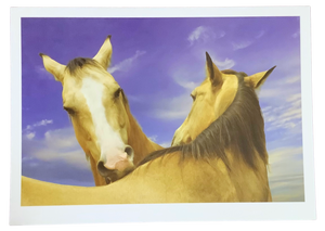 Notecard by Ines Labunski Roberts - Two Horses