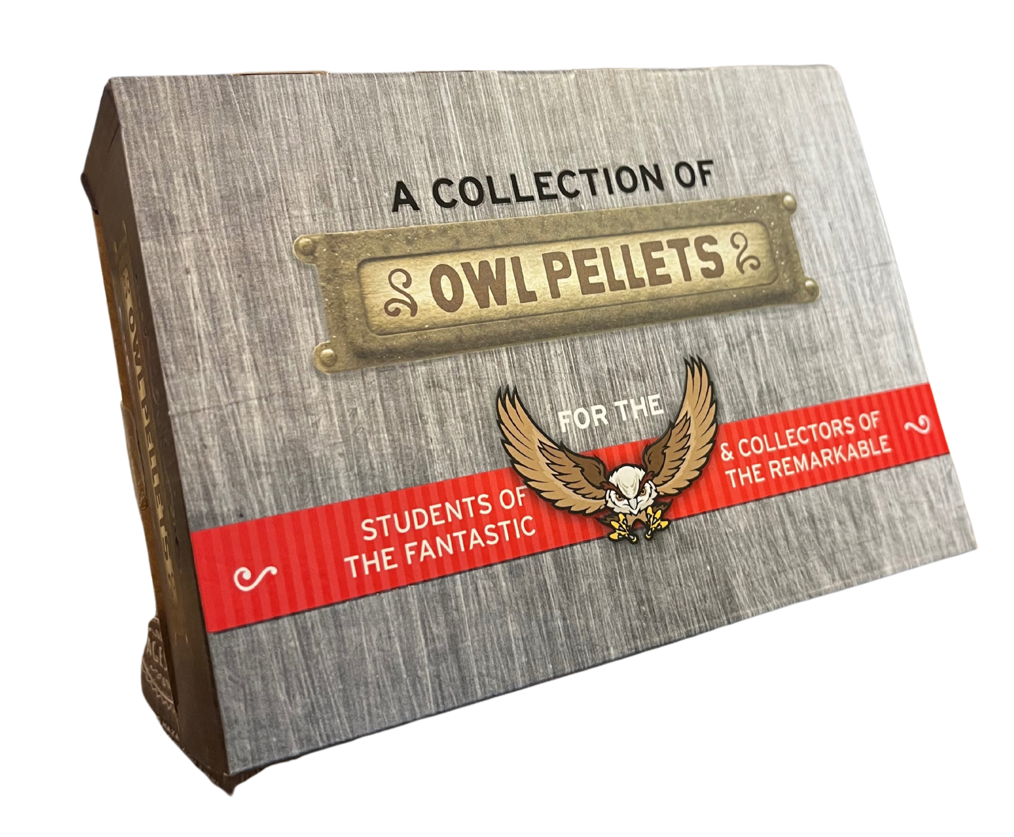 Owl Pellet Dissection Kit