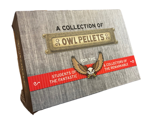 Owl Pellet Dissection Kit