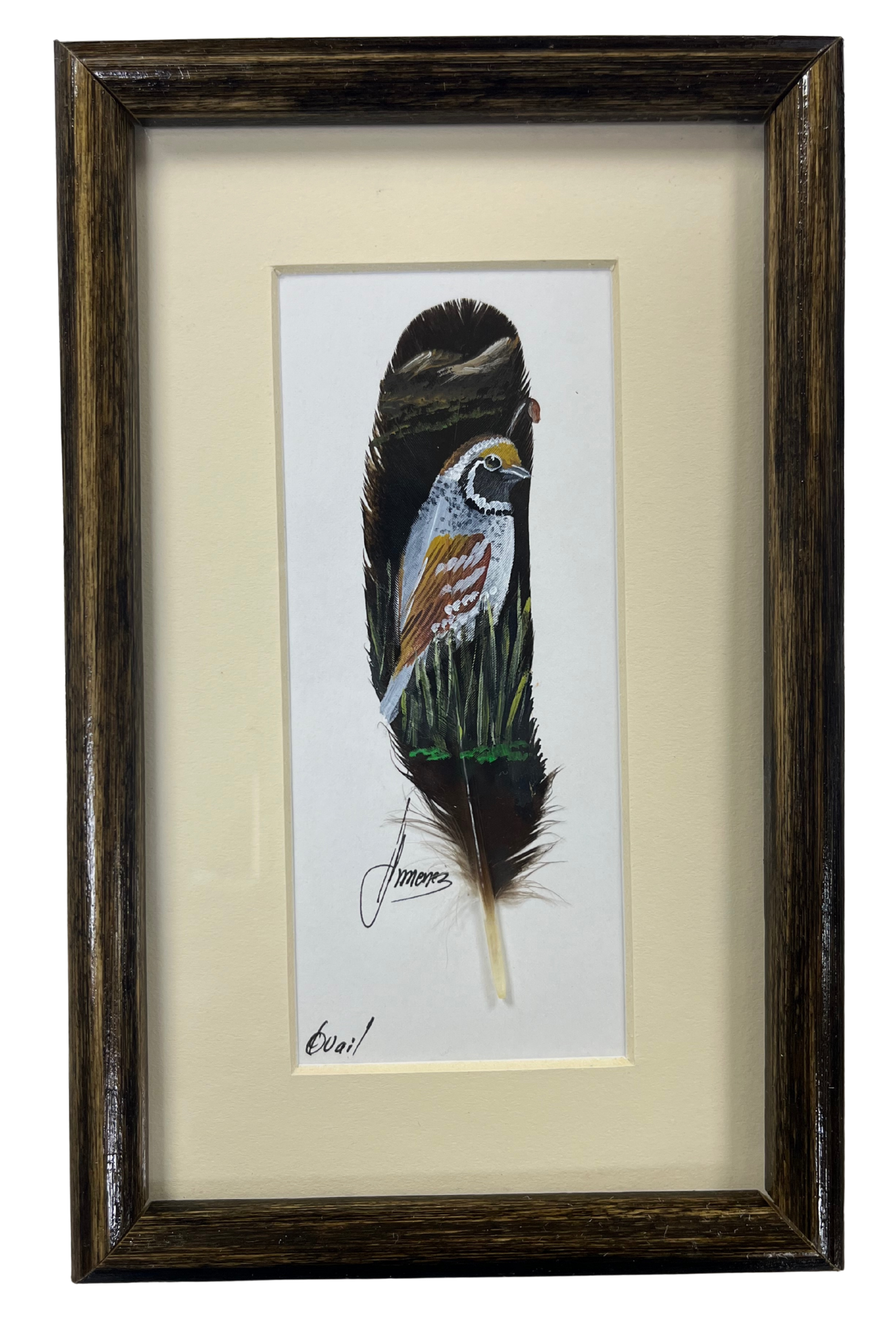 Feather Art - Quail