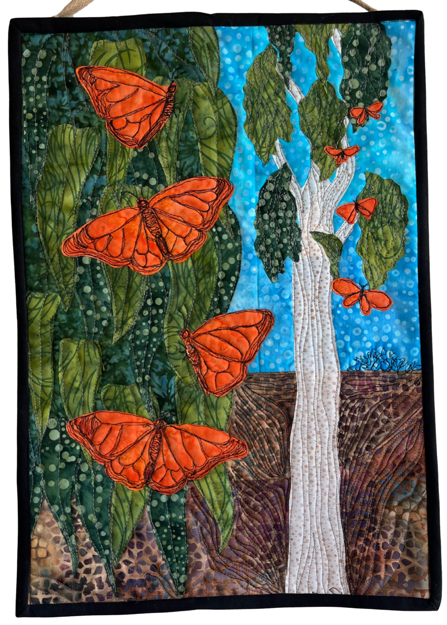 JL | Ellwood Butterflies