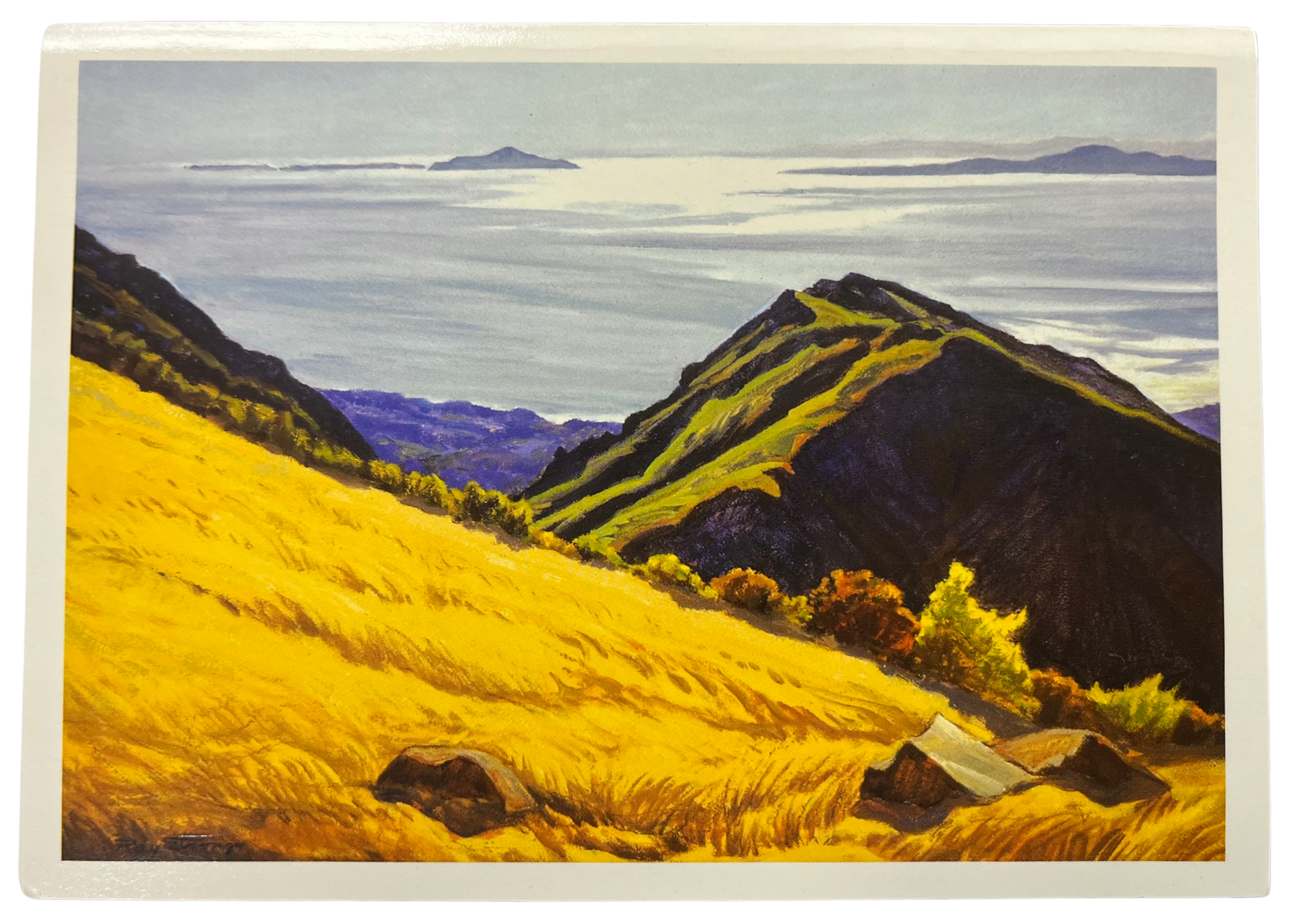 Notecard by Ray Strong - Path of Light