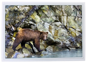 Print Pack of 6 - Coastal Alaskan Bears by Deborah Kalas