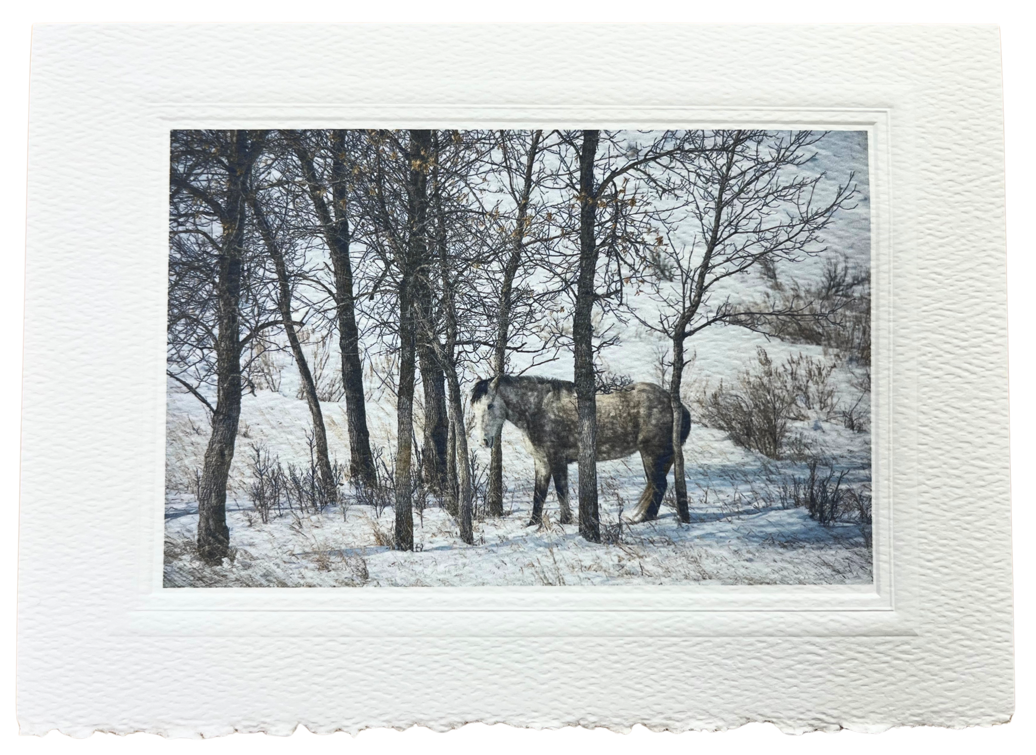 Notecard Pack of 6 - The Wild Herd by Deborah Kalas