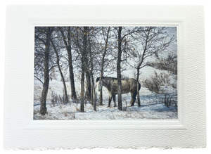 Notecard Pack of 6 - The Wild Herd by Deborah Kalas