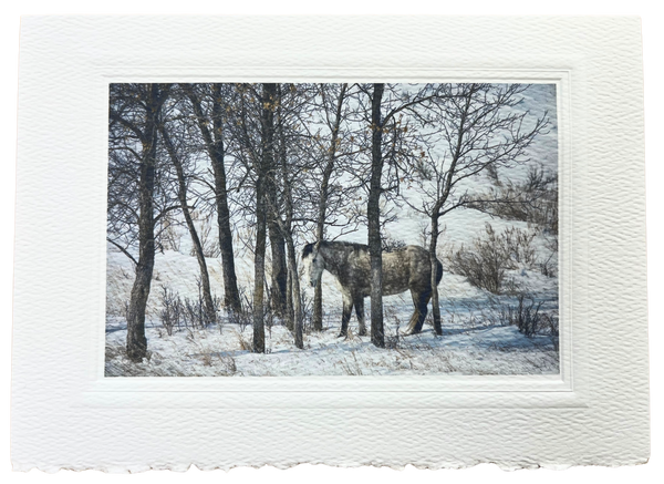 Notecard Pack of 6 - The Wild Herd by Deborah Kalas