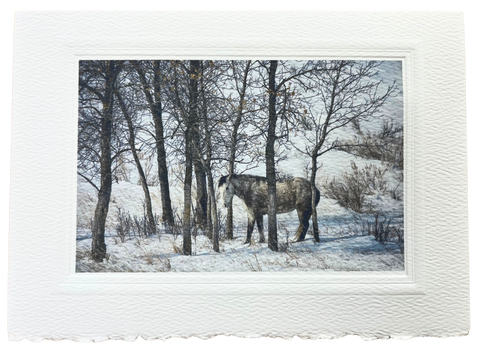 Notecard Pack of 6 - The Wild Herd by Deborah Kalas