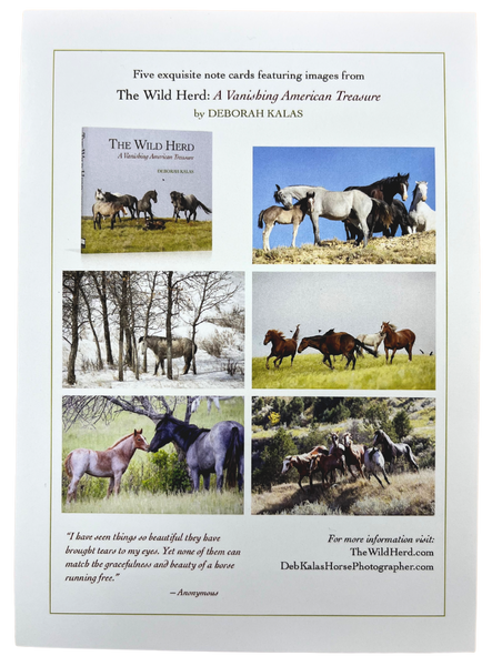 Notecard Pack of 6 - The Wild Herd by Deborah Kalas