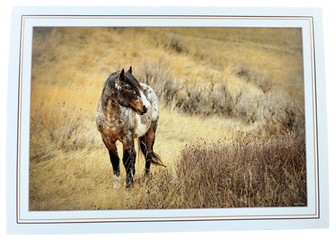 Print Pack of 6 - Horses by Deborah Kalas