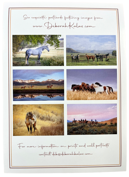 Print Pack of 6 - Horses by Deborah Kalas