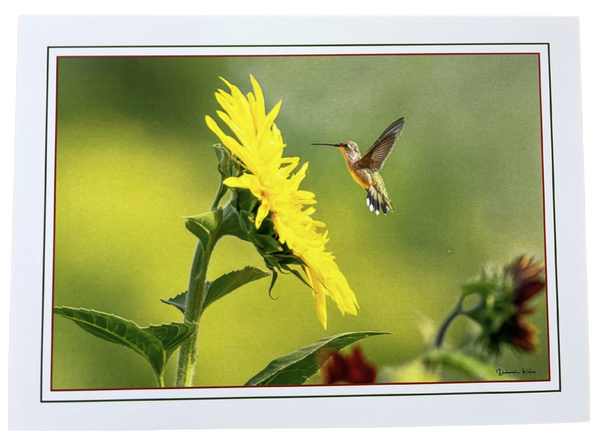 Print Pack of 6 - Between Earth and Sky by Deborah Kalas