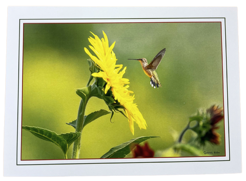 Print Pack of 6 - Between Earth and Sky by Deborah Kalas
