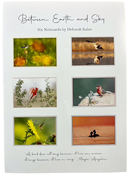 Print Pack of 6 - Between Earth and Sky by Deborah Kalas