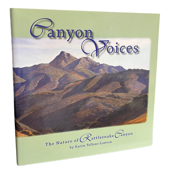 Canyon Voices by Karen Tellen-Lawton