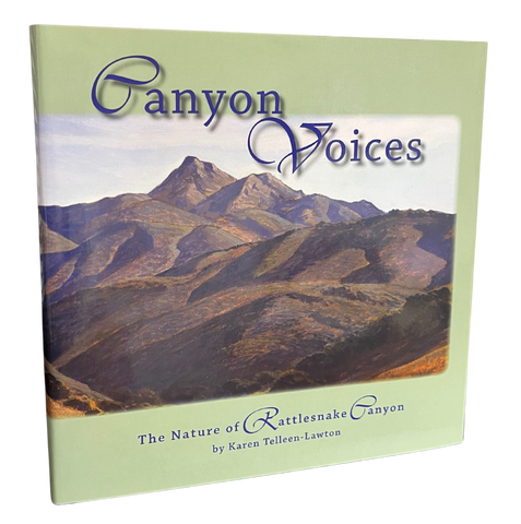 Canyon Voices by Karen Tellen-Lawton