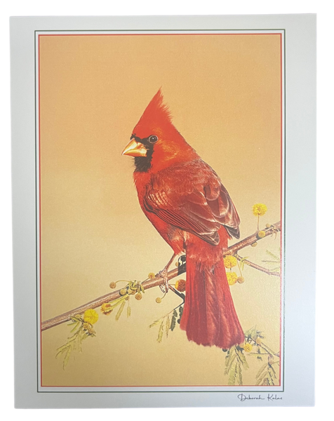 Notecard Pack of 6 - Holiday Cardinals by Deborah Kalas