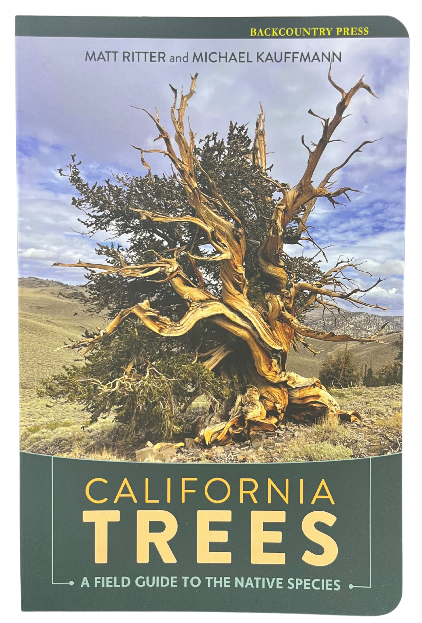 California Trees a Field Guide by Matt Ritter and Michael Kauffmann ...