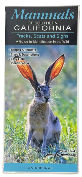 Fold Out Guide - Mammals of Southern California