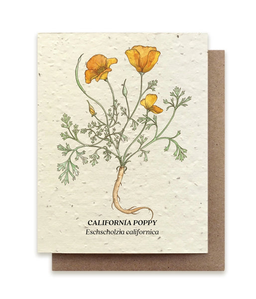Plantable Notecard - Poppy