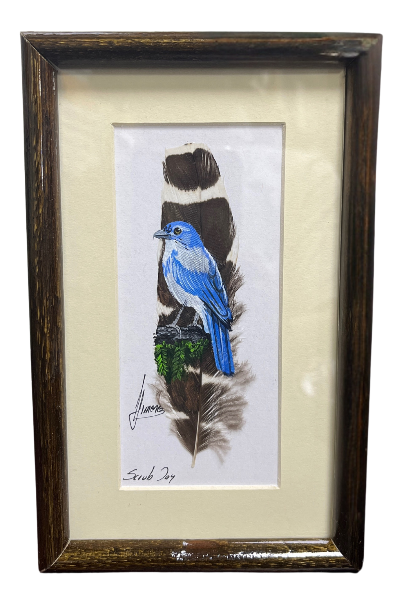 Feather Art - Scrub Jay