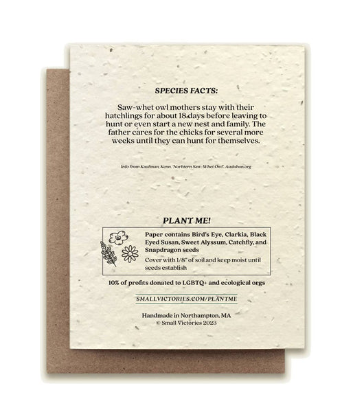 Plantable Notecard - Northern Saw-Whet Owl