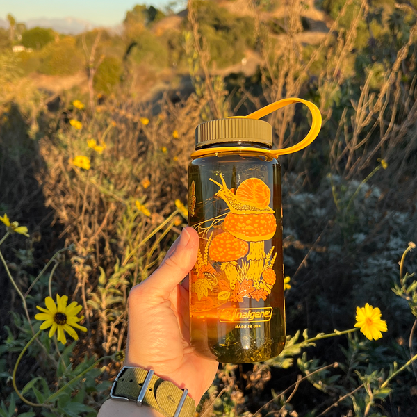 16oz Nalgene Water Bottle -  Toad & Mushrooms