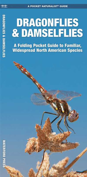 Fold Out Guide - Dragonflies & Damselflies