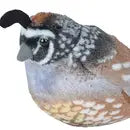 Quail 5.5" Plushie