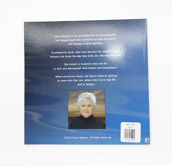 A Little Bird Told Me by Cheryl Medow