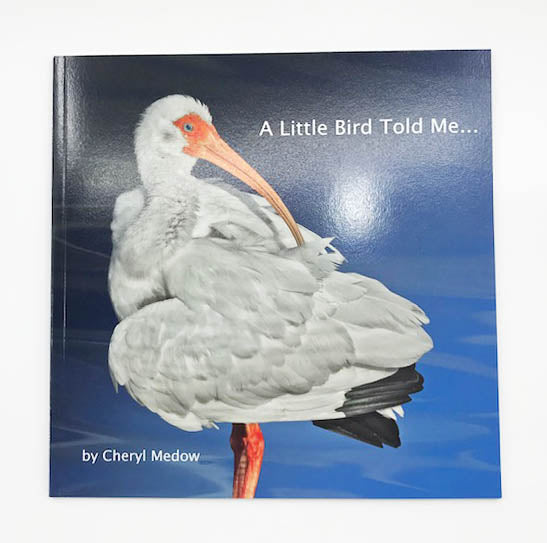 A Little Bird Told Me by Cheryl Medow
