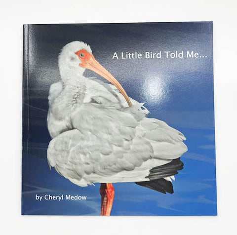 A Little Bird Told Me by Cheryl Medow