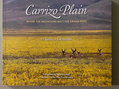 Carrizo Plain | Where the Mountains Meet the Grasslands by Chuck Graham